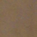 Mustang: Dark Brown