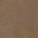 Mustang: Dark Brown