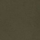 Mustang: Dark Olive