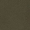 Mustang: Dark Olive