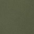 Mustang: Dark Olive