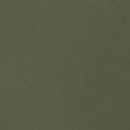 Mustang: Dark Olive