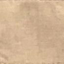 Microsuede: Chestnut